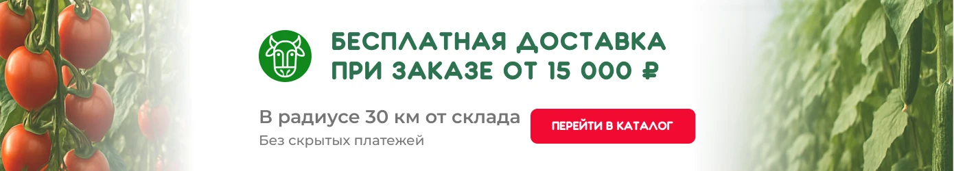 Бесплатная доставка